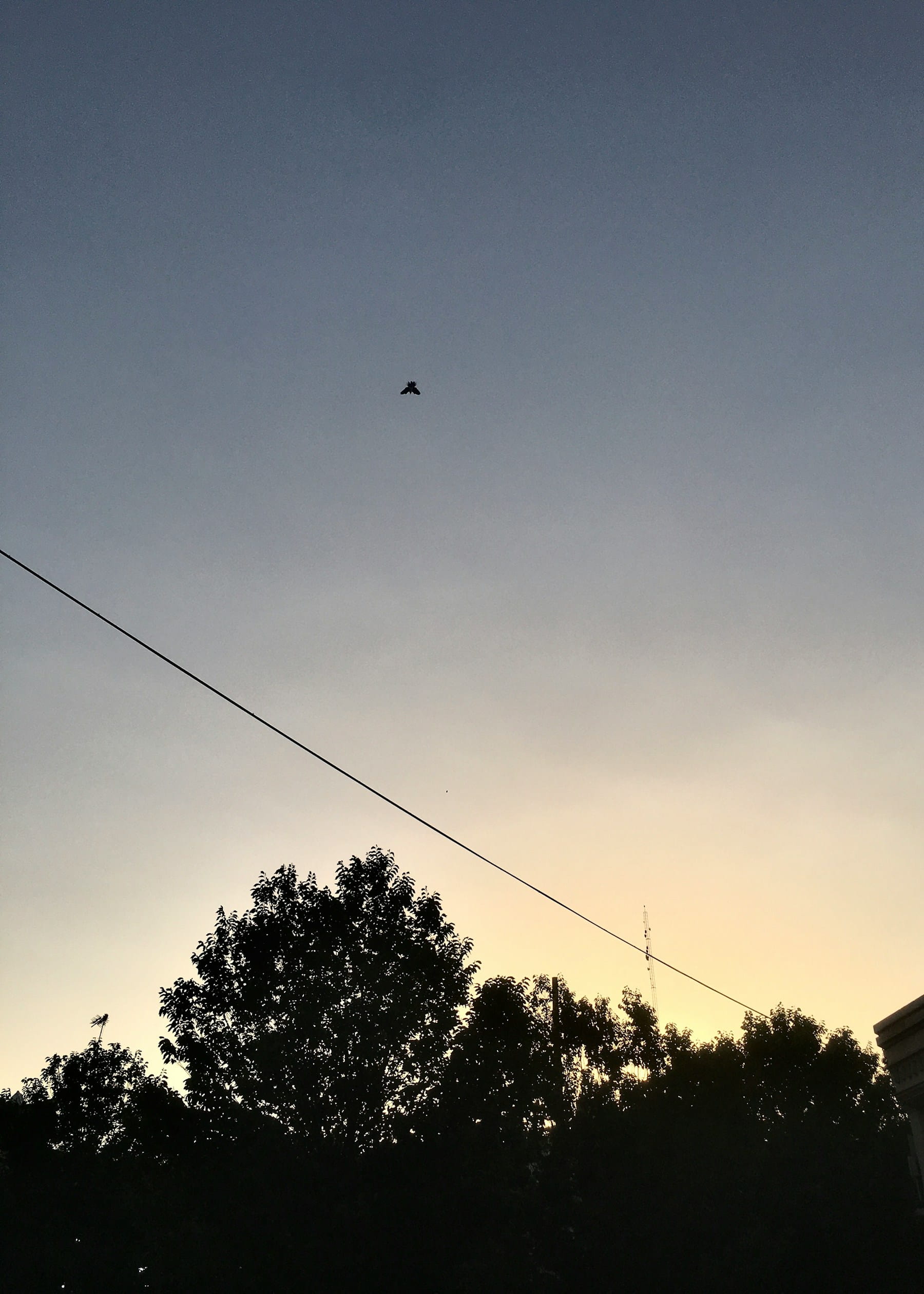 Cover Image for Flying Drones in Controlled Airspace: Complete Rules and Authorization Guide