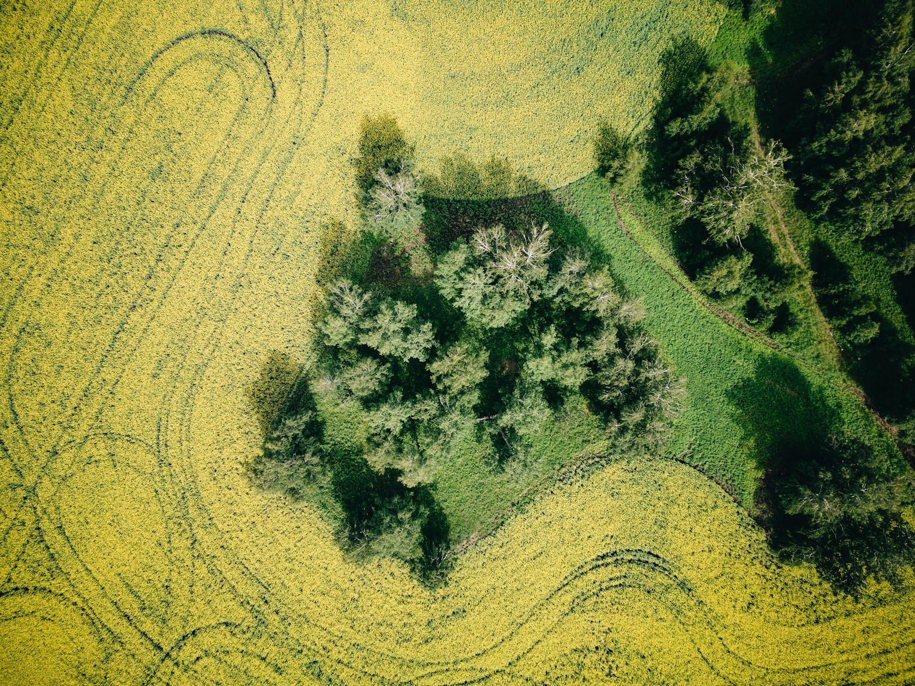 Cover Image for Drone Mapping Guide: Equipment, Software, Flight Planning, and Data Processing for Accurate Aerial Surveys