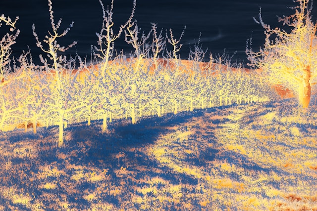 Cover Image for Drone Thermal Imaging Business: Complete Guide to Building a Premium Thermal Inspection Service in 2025