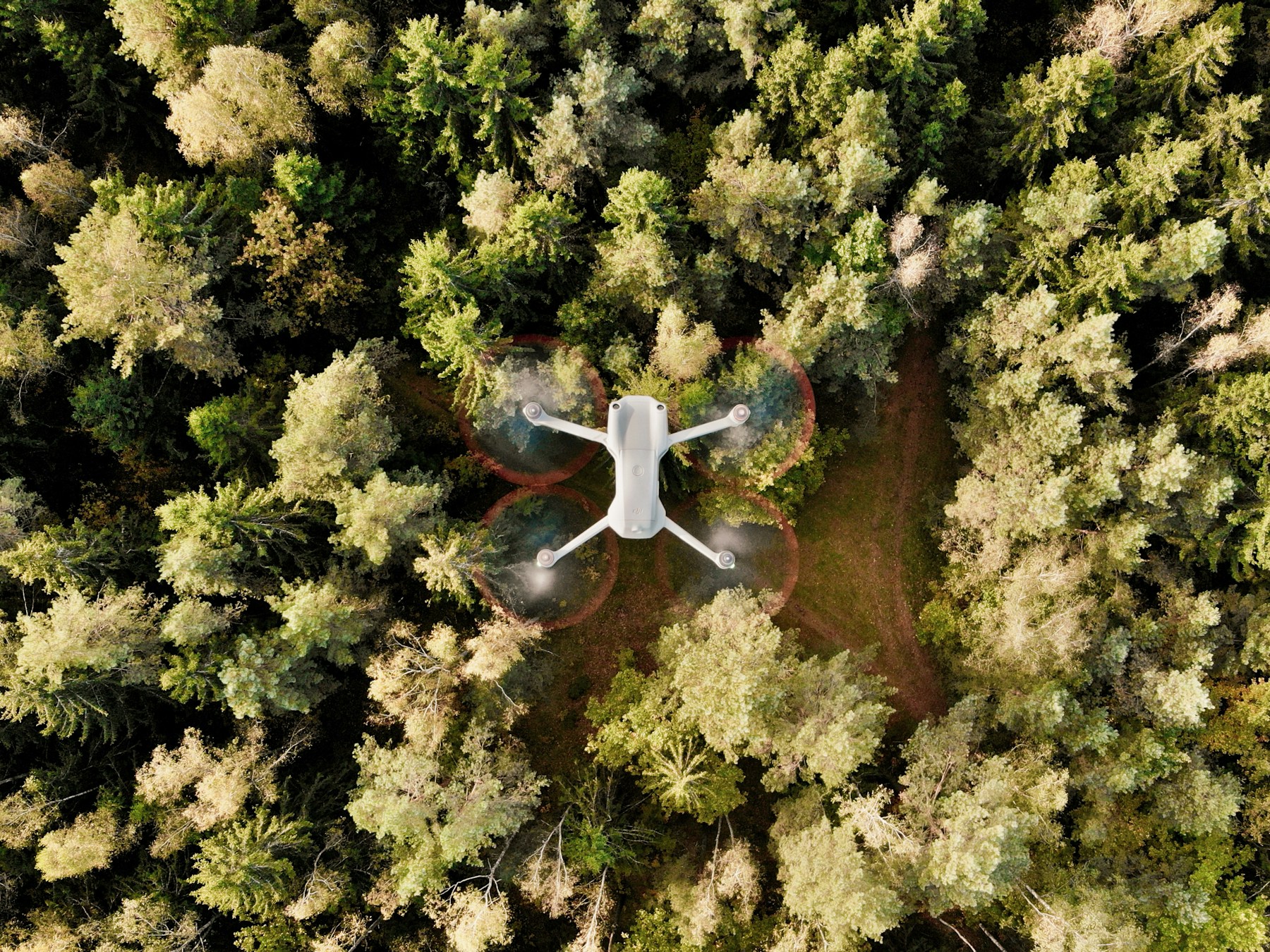 Cover Image for Forestry Inspections with Drones: Advanced Technology for Forest Management, Disease Detection, and Wildlife Monitoring