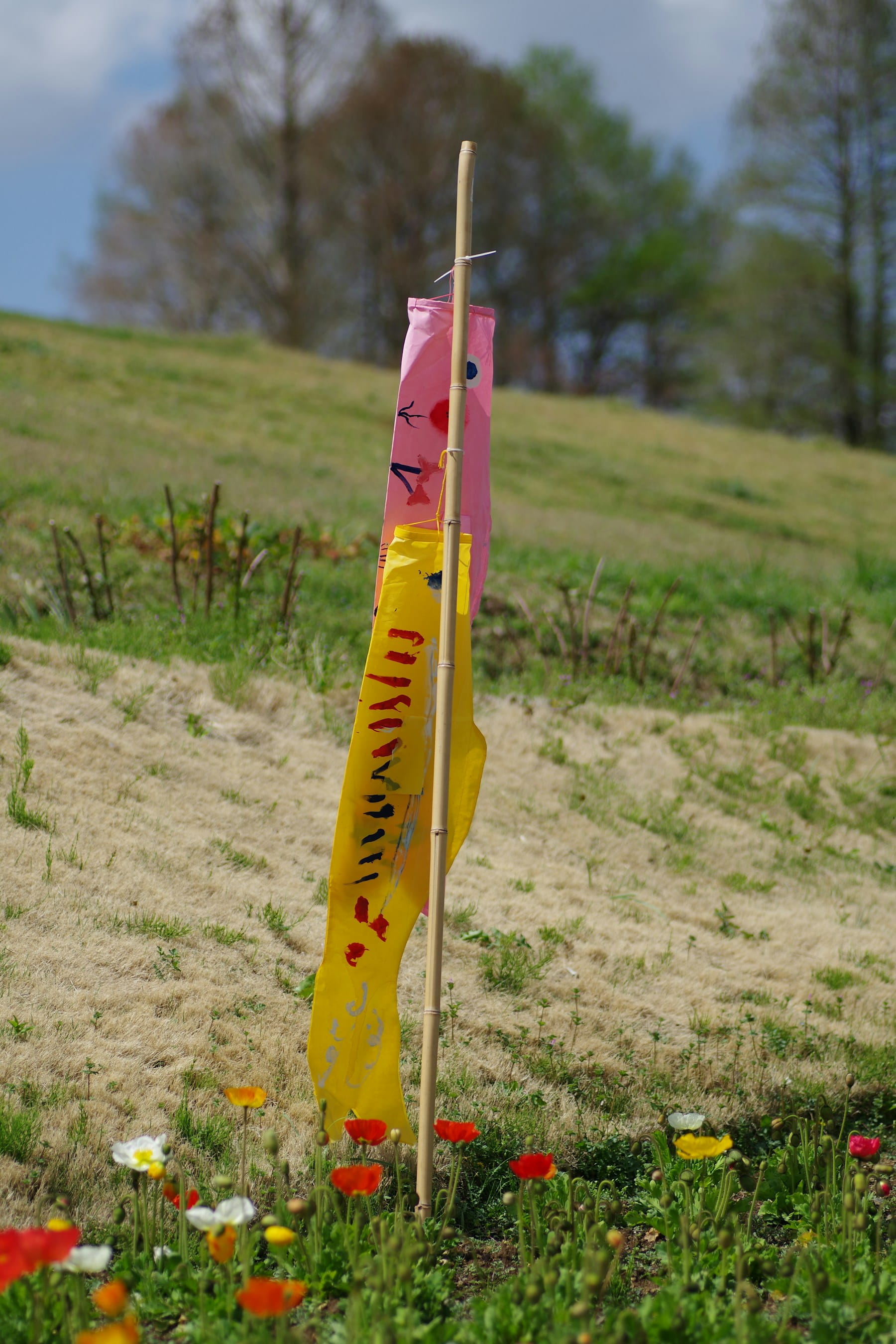 Cover Image for Ground Control Points: Essential Elements for Precision Drone Surveying and Mapping Accuracy